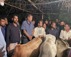 গোয়াইনঘাটে ৪ চোরাই গরুসহ চোর আটক